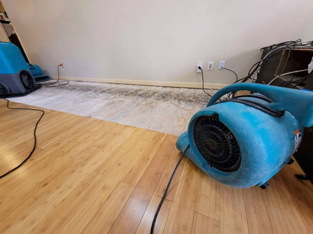 Professional Water Damage Repair technician working in Frankfort, IL